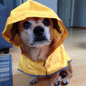 Meet your Posher, Kendall